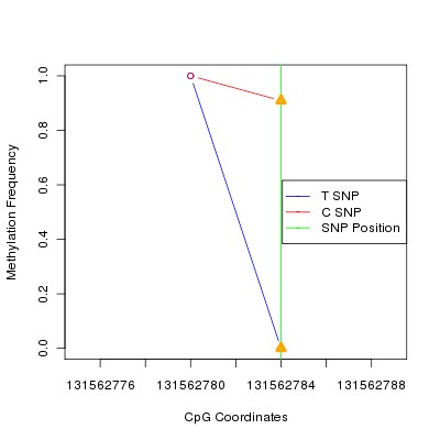 Allele Specific Methylation Frequency Diagram for chr12 131562784 SNP.