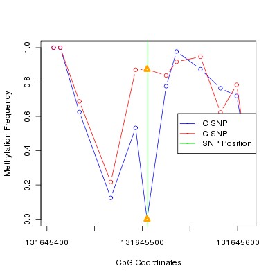 Allele Specific Methylation Frequency Diagram for chr12 131645506 SNP.