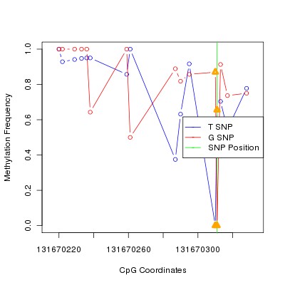 Allele Specific Methylation Frequency Diagram for chr12 131670311 SNP.