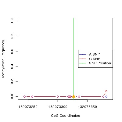 Allele Specific Methylation Frequency Diagram for chr12 132073327 SNP.