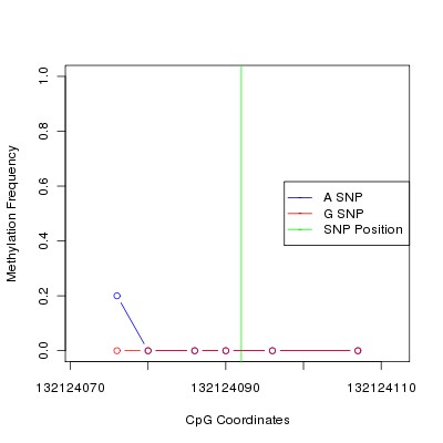 Allele Specific Methylation Frequency Diagram for chr12 132124092 SNP.