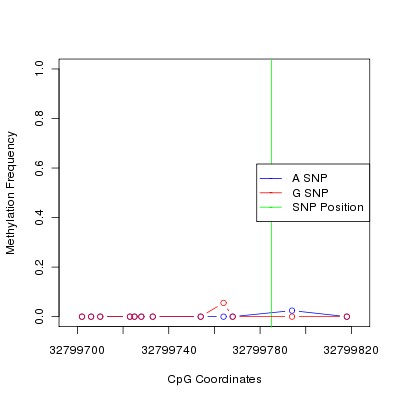 Allele Specific Methylation Frequency Diagram for chr12 32799785 SNP.