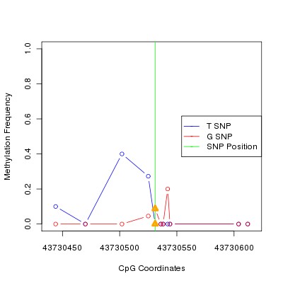 Allele Specific Methylation Frequency Diagram for chr12 43730531 SNP.