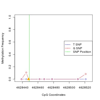 Allele Specific Methylation Frequency Diagram for chr12 4628449 SNP.