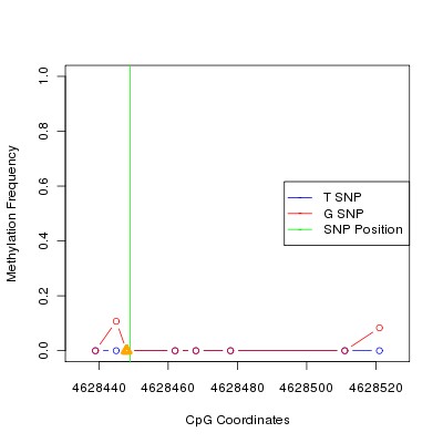 Allele Specific Methylation Frequency Diagram for chr12 4628449 SNP.