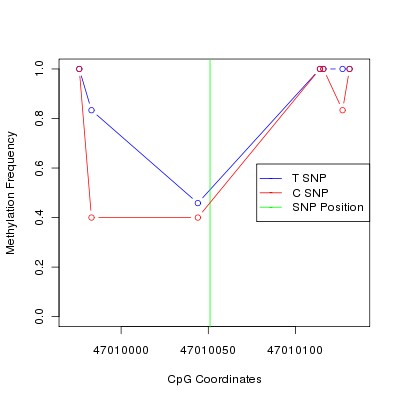 Allele Specific Methylation Frequency Diagram for chr12 47010051 SNP.