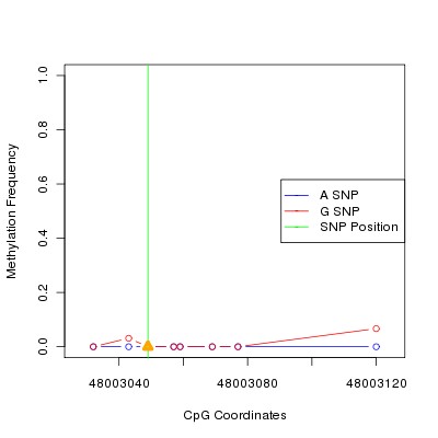 Allele Specific Methylation Frequency Diagram for chr12 48003049 SNP.