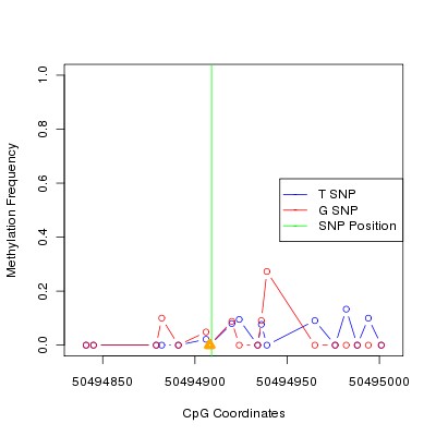 Allele Specific Methylation Frequency Diagram for chr12 50494909 SNP.