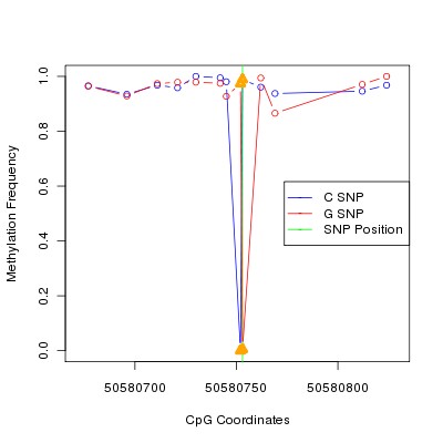 Allele Specific Methylation Frequency Diagram for chr12 50580753 SNP.