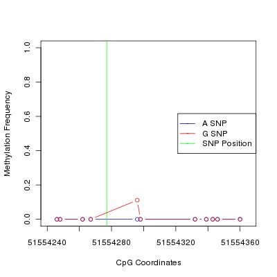 Allele Specific Methylation Frequency Diagram for chr12 51554277 SNP.