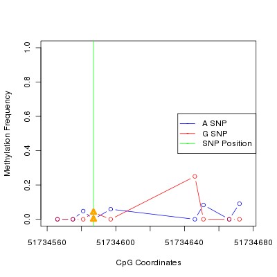 Allele Specific Methylation Frequency Diagram for chr12 51734587 SNP.