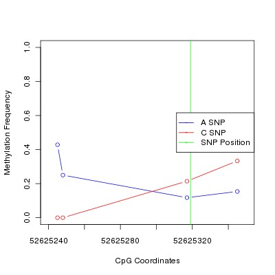 Allele Specific Methylation Frequency Diagram for chr12 52625319 SNP.