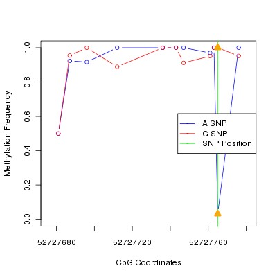 Allele Specific Methylation Frequency Diagram for chr12 52727765 SNP.
