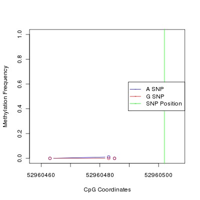 Allele Specific Methylation Frequency Diagram for chr12 52960502 SNP.