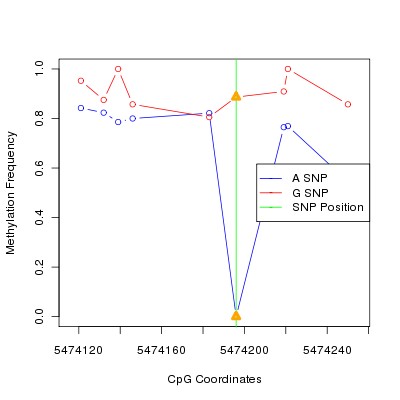 Allele Specific Methylation Frequency Diagram for chr12 5474196 SNP.