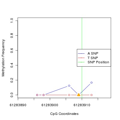 Allele Specific Methylation Frequency Diagram for chr12 61283910 SNP.