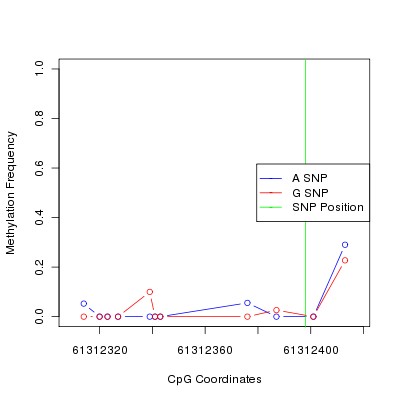 Allele Specific Methylation Frequency Diagram for chr12 61312398 SNP.