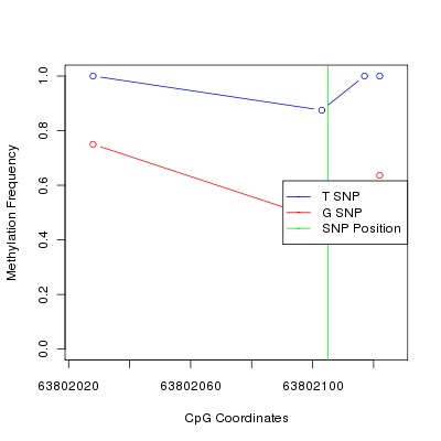 Allele Specific Methylation Frequency Diagram for chr12 63802105 SNP.