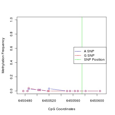 Allele Specific Methylation Frequency Diagram for chr12 6450575 SNP.