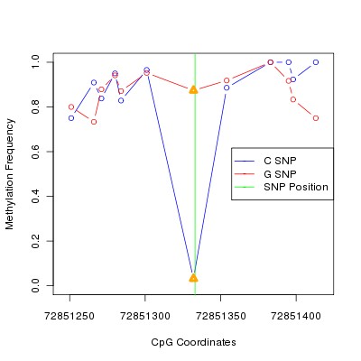 Allele Specific Methylation Frequency Diagram for chr12 72851333 SNP.