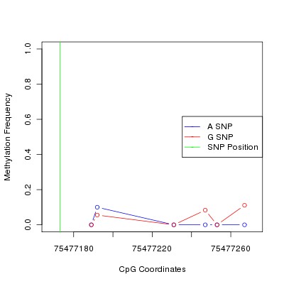 Allele Specific Methylation Frequency Diagram for chr12 75477173 SNP.