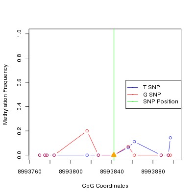 Allele Specific Methylation Frequency Diagram for chr12 8993842 SNP.