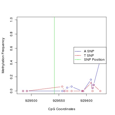 Allele Specific Methylation Frequency Diagram for chr12 929542 SNP.