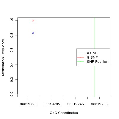 Allele Specific Methylation Frequency Diagram for chr15 36019753 SNP.