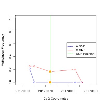 Allele Specific Methylation Frequency Diagram for chr17 28173872 SNP.