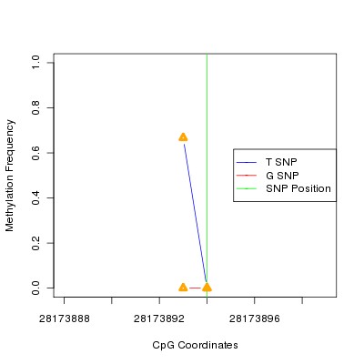 Allele Specific Methylation Frequency Diagram for chr17 28173894 SNP.