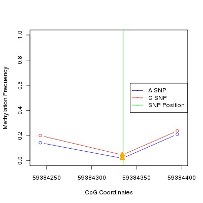 Allele Specific Methylation Frequency Diagram for chr19 59384335 SNP.