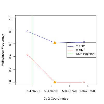 Allele Specific Methylation Frequency Diagram for chr19 59476720 SNP.