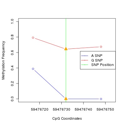 Allele Specific Methylation Frequency Diagram for chr19 59476732 SNP.