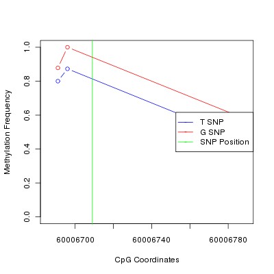 Allele Specific Methylation Frequency Diagram for chr19 60006709 SNP.