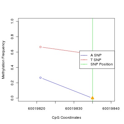 Allele Specific Methylation Frequency Diagram for chr19 60019835 SNP.