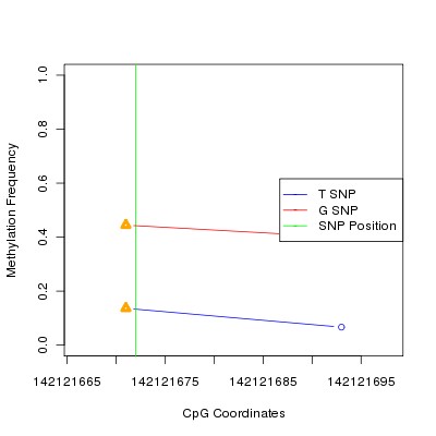 Allele Specific Methylation Frequency Diagram for chr1 142121672 SNP.