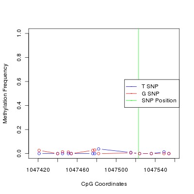 Allele Specific Methylation Frequency Diagram for chr20 1047523 SNP.