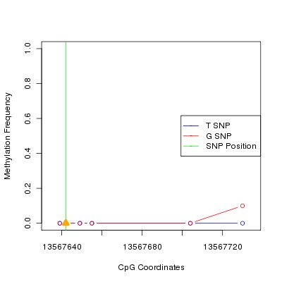 Allele Specific Methylation Frequency Diagram for chr20 13567642 SNP.