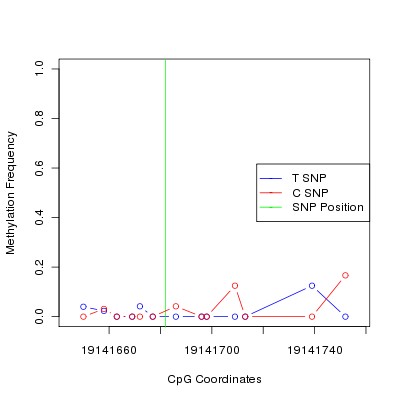 Allele Specific Methylation Frequency Diagram for chr20 19141682 SNP.