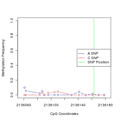 Allele Specific Methylation Frequency Diagram for chr20 2136163 SNP.