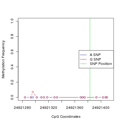 Allele Specific Methylation Frequency Diagram for chr20 24921383 SNP.