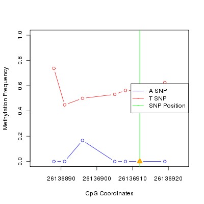 Allele Specific Methylation Frequency Diagram for chr20 26136912 SNP.