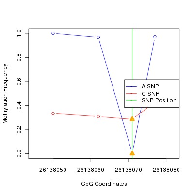 Allele Specific Methylation Frequency Diagram for chr20 26138071 SNP.