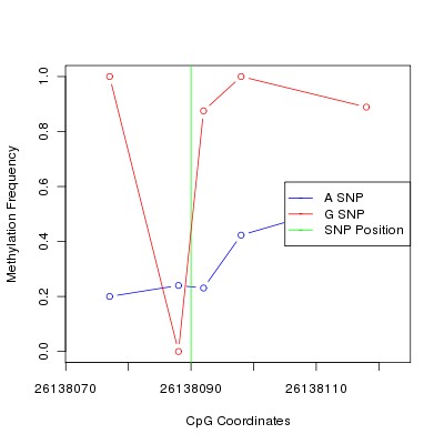 Allele Specific Methylation Frequency Diagram for chr20 26138090 SNP.