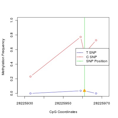 Allele Specific Methylation Frequency Diagram for chr20 28225961 SNP.