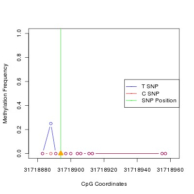 Allele Specific Methylation Frequency Diagram for chr20 31718894 SNP.