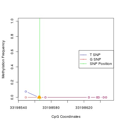 Allele Specific Methylation Frequency Diagram for chr20 33198566 SNP.