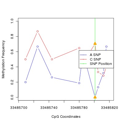 Allele Specific Methylation Frequency Diagram for chr20 33485801 SNP.