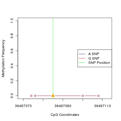 Allele Specific Methylation Frequency Diagram for chr20 36497085 SNP.