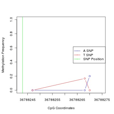 Allele Specific Methylation Frequency Diagram for chr20 36788243 SNP.